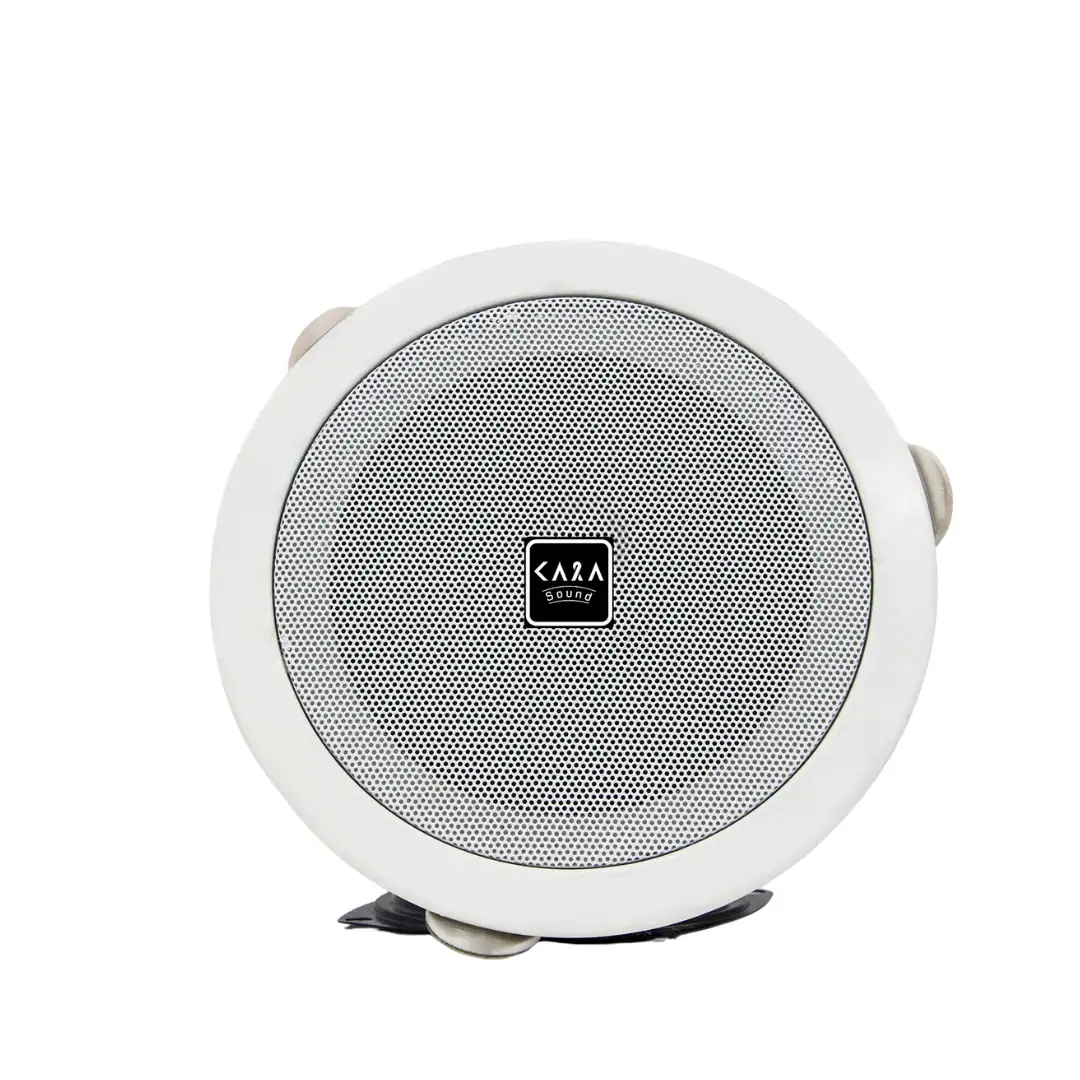 Ceiling Speaker CA-506