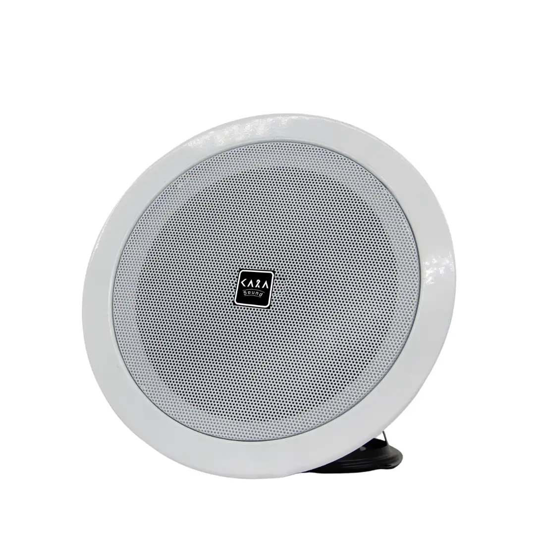 Ceiling Speaker CA-606