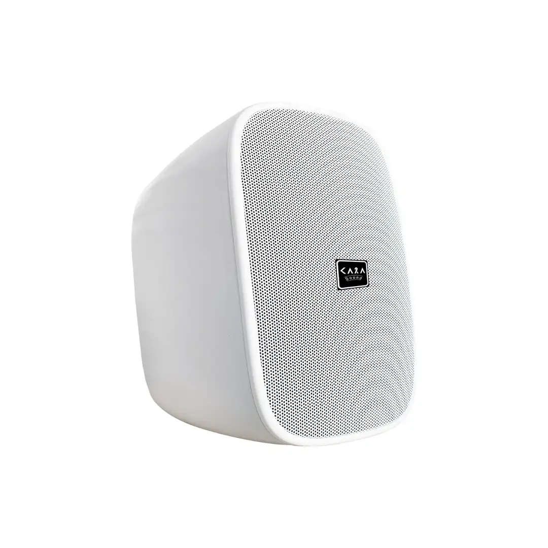 Wall Mount Speaker WE-560