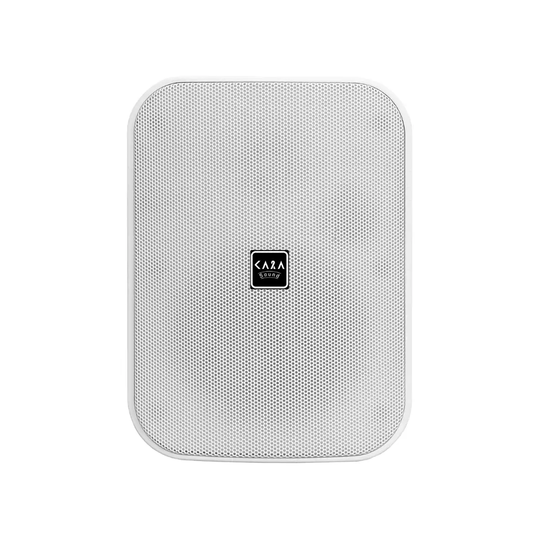 Wall Mount Speaker WF-420