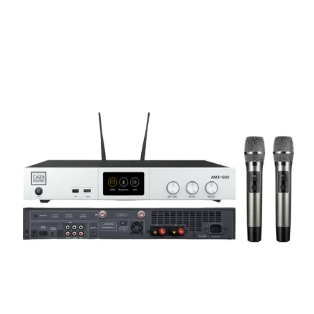 Digital Audio Processor AMX-600