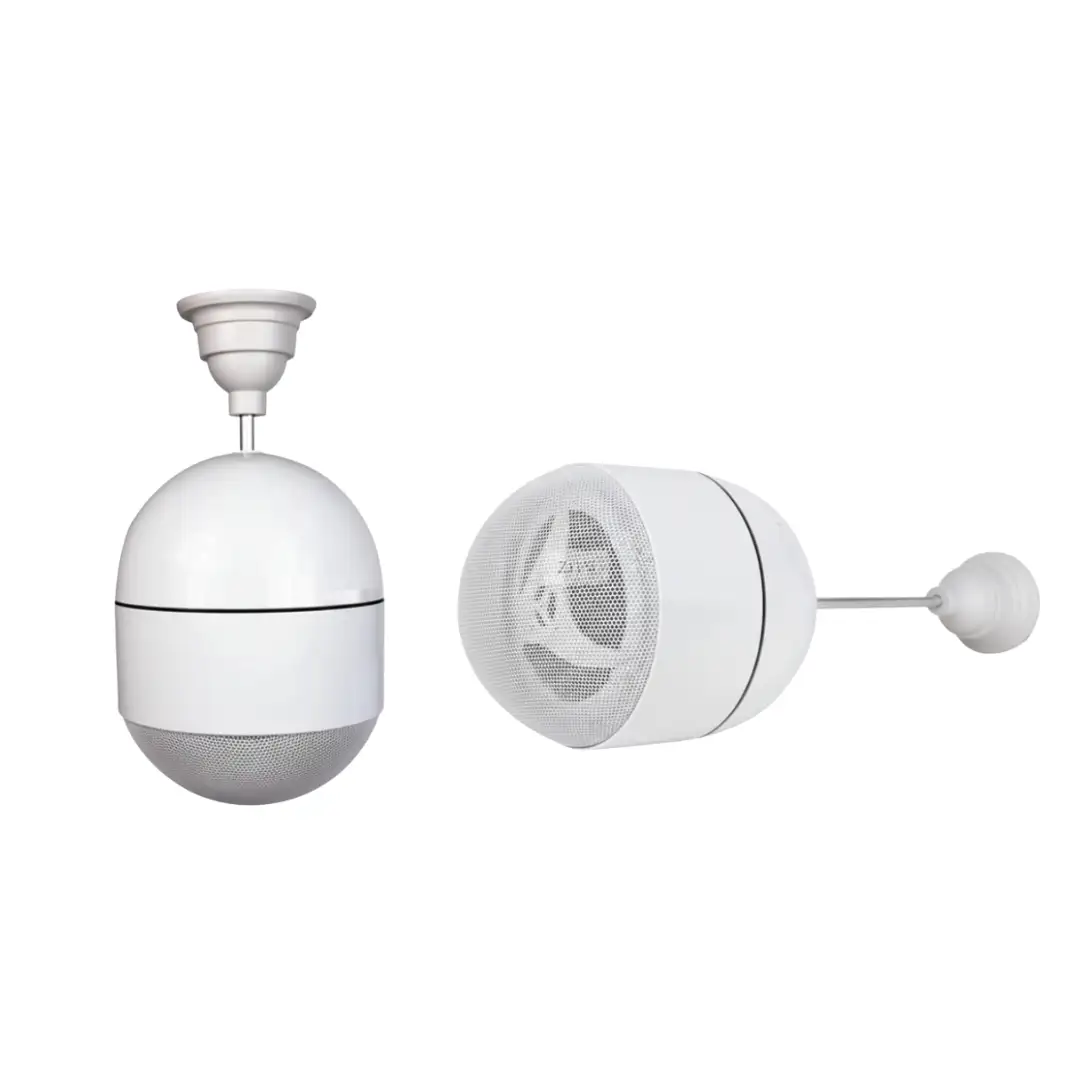 Pendant Ceiling Speaker KS-20W