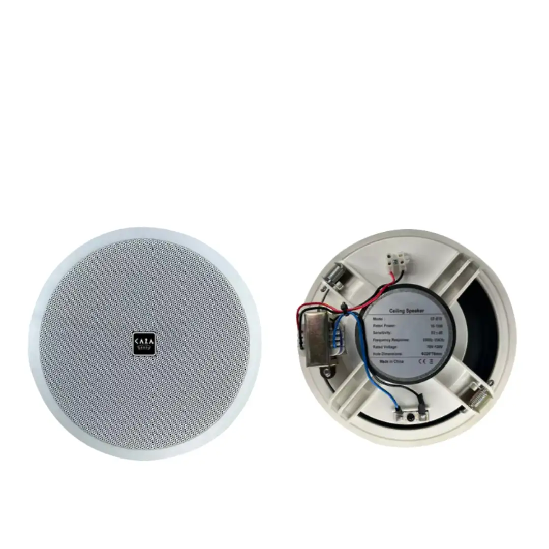 Ceiling Speaker CA-810