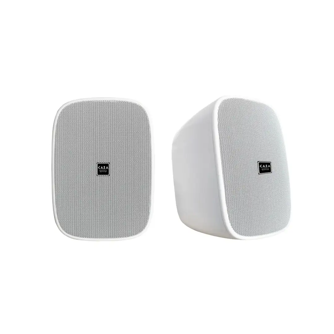 Wall Mounted Speaker WX-430